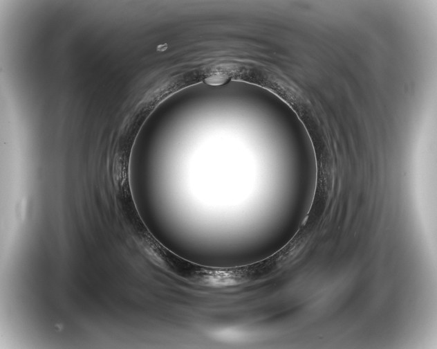 X0000085730091200703161015