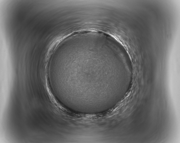 X0000085730097200703161014