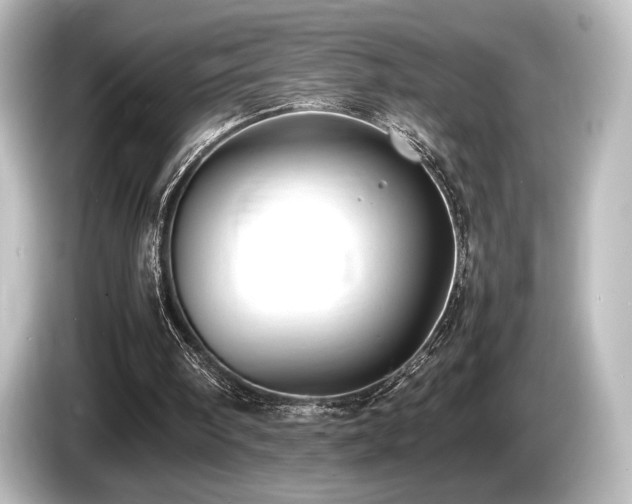 X0000085730098200703161014