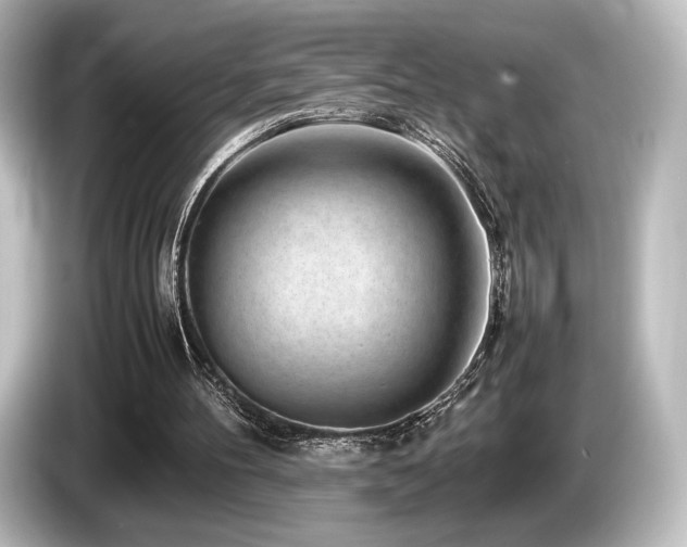 X0000085730100200703161014