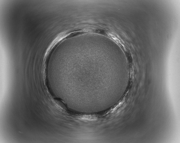 X0000085730101200703161014