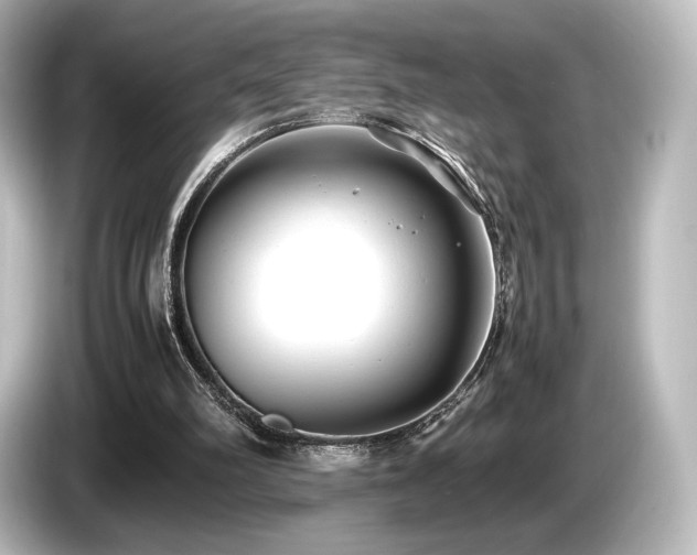 X0000085730102200703161014