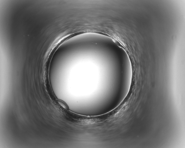 X0000085730103200703161014