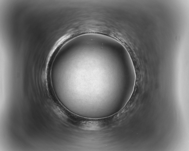 X0000085730104200703161014