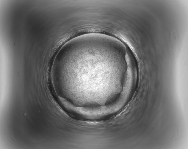 X0000085730105200703161014