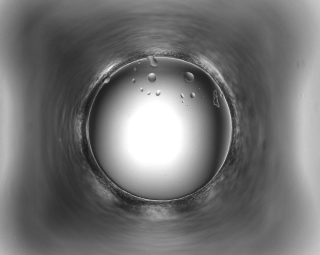 X0000085730106200703161014