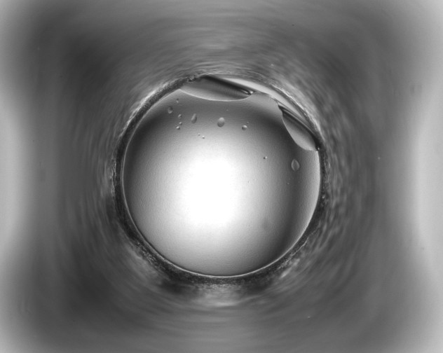 X0000085730107200703161014