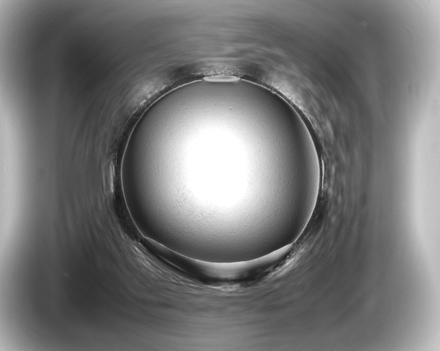 X0000085730109200703161014