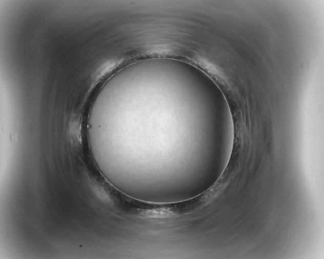 X0000085730112200703161014