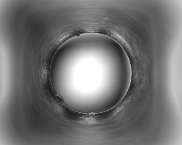 X0000085730113200703161014