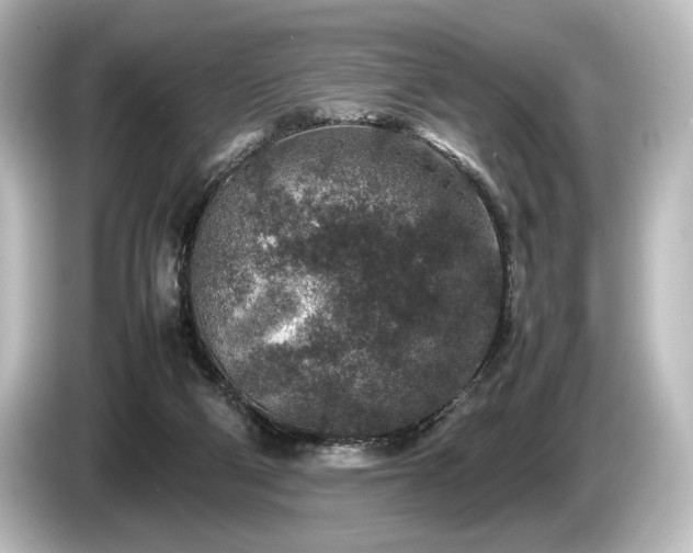 X0000085730114200703161014