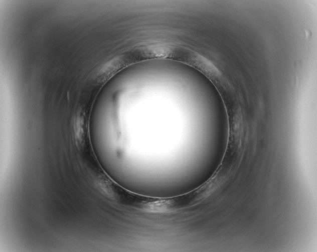 X0000085730122200703161014