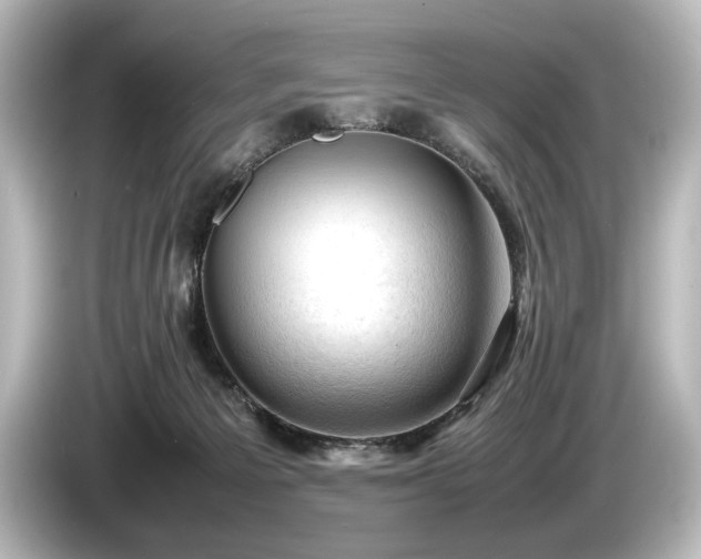 X0000085730125200703161014