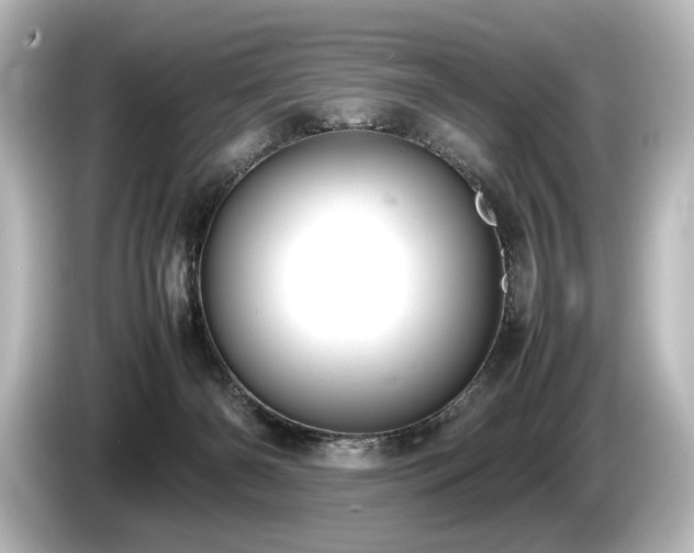 X0000085730126200703161014