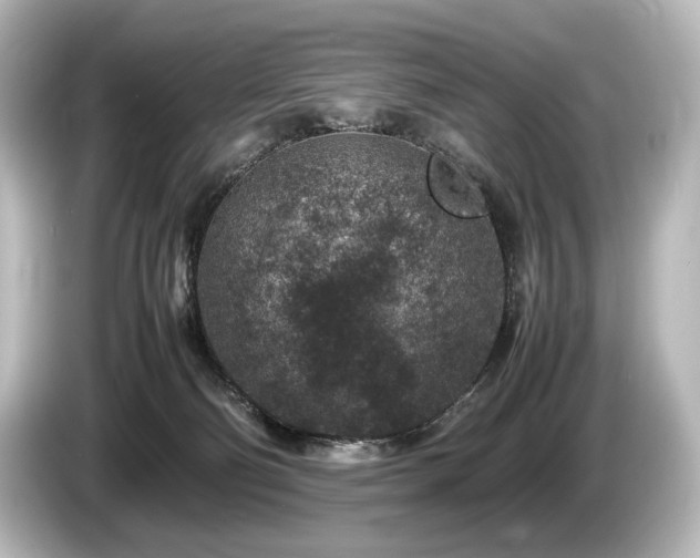 X0000085730130200703161014