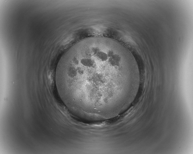 X0000085730131200703161014