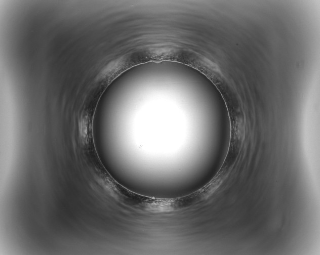 X0000085730138200703161014