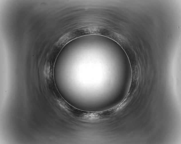 X0000085730140200703161014