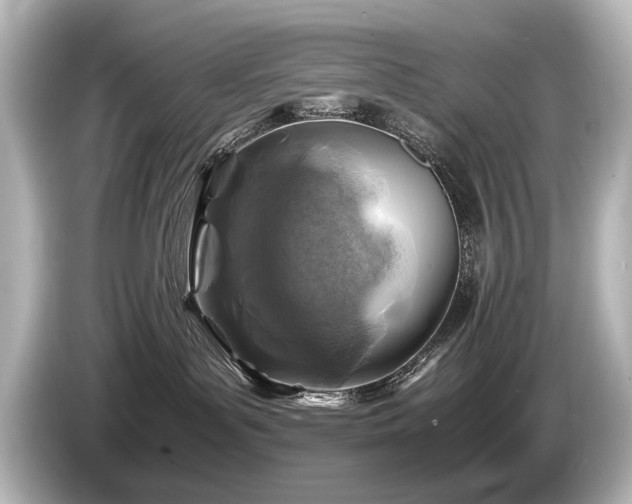 X0000085730143200703161014