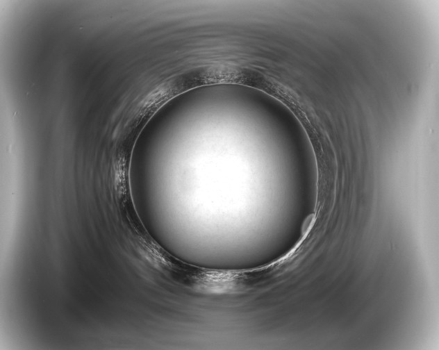 X0000085730144200703161014