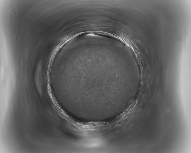 X0000085730145200703161013