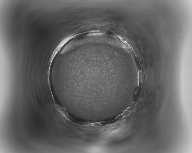 X0000085730147200703161013