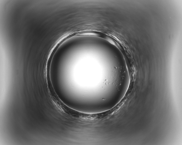 X0000085730148200703161013