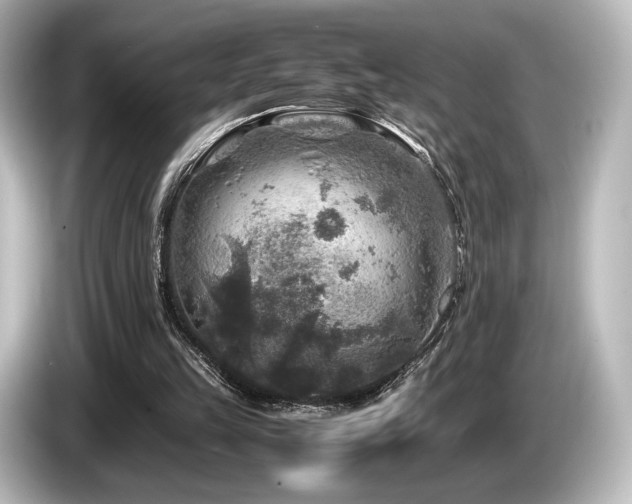 X0000085730149200703161013