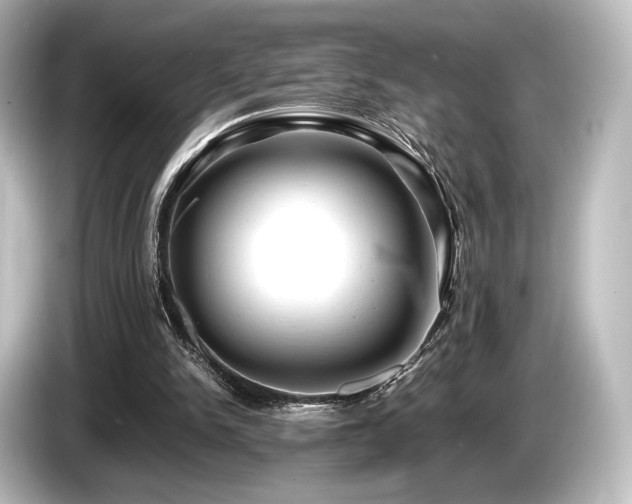 X0000085730150200703161013