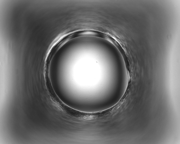 X0000085730152200703161013