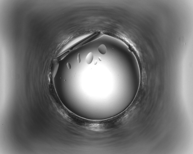 X0000085730153200703161013