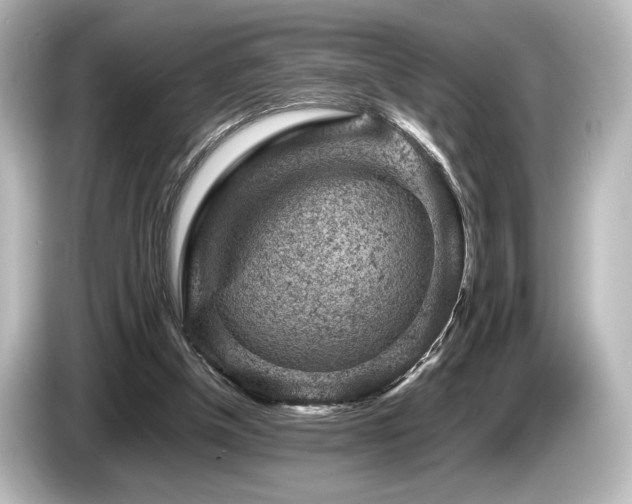 X0000085730154200703161013