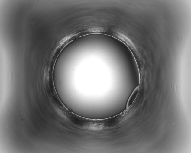 X0000085730155200703161013