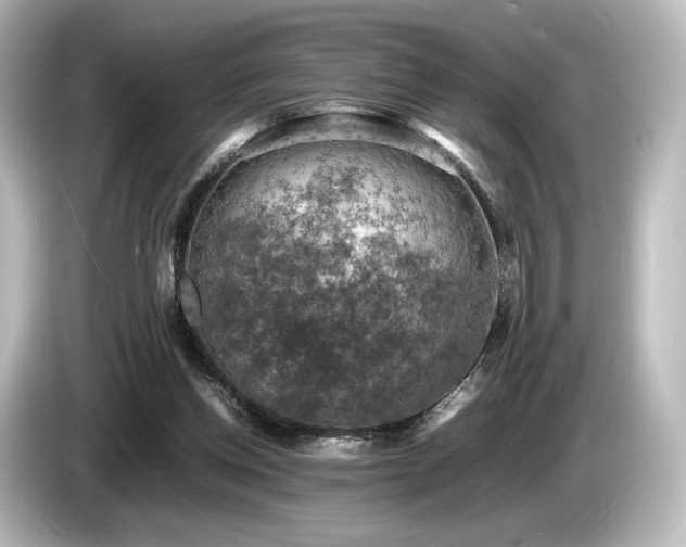 X0000085730158200703161013