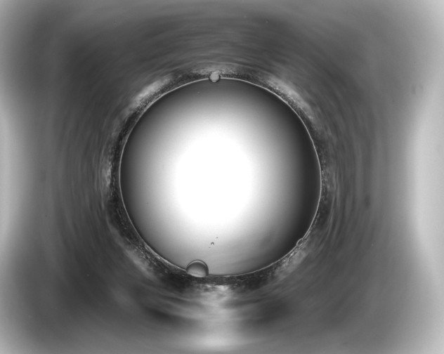 X0000085730159200703161013