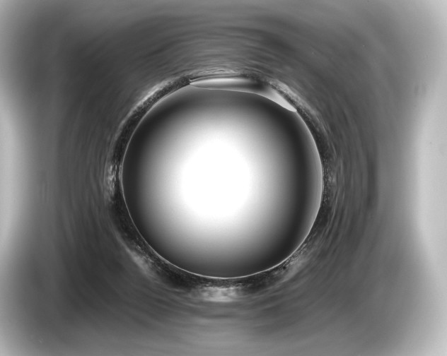 X0000085730160200703161013