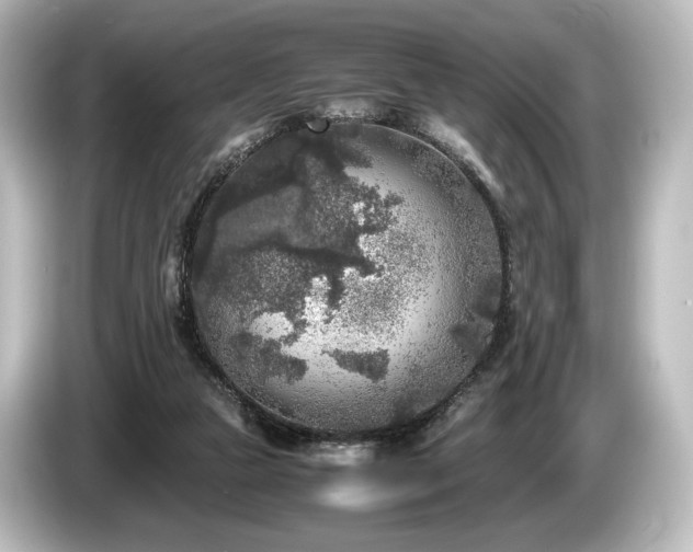 X0000085730161200703161013