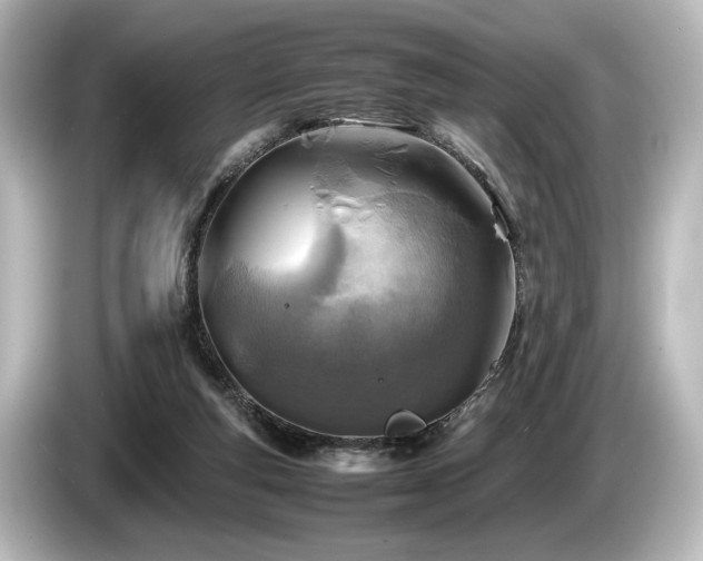 X0000085730163200703161013