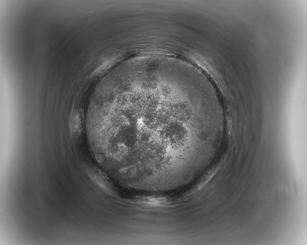 X0000085730165200703161013