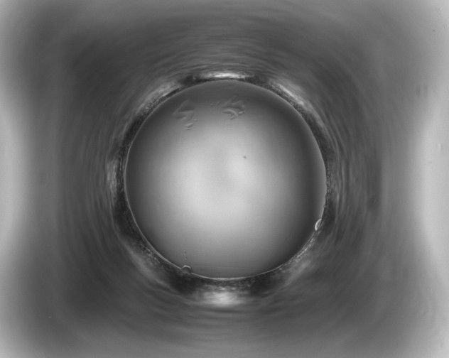 X0000085730167200703161013