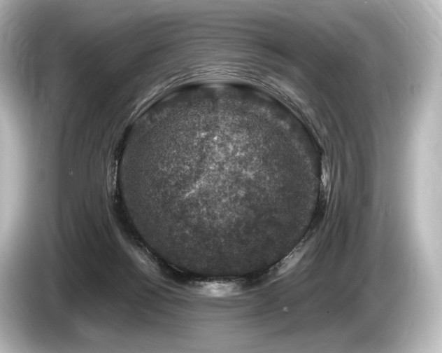 X0000085730168200703161013