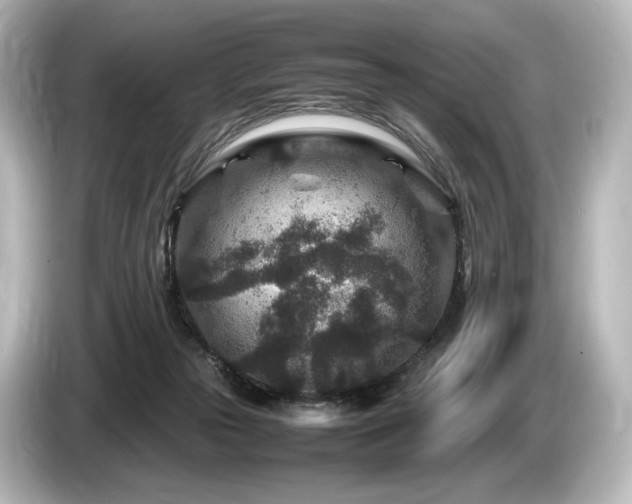 X0000085730169200703161013