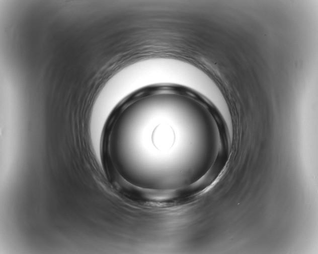 X0000085730170200703161013