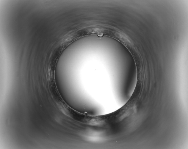 X0000085730173200703161013