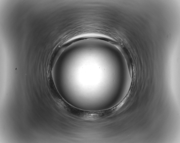 X0000085730174200703161013