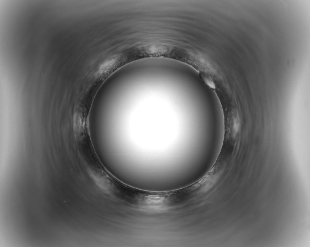 X0000085730176200703161013