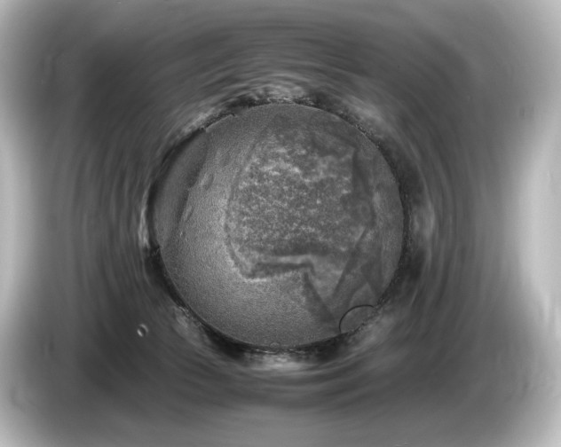 X0000085730177200703161013