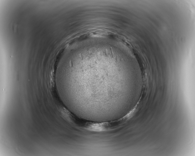 X0000085730178200703161013