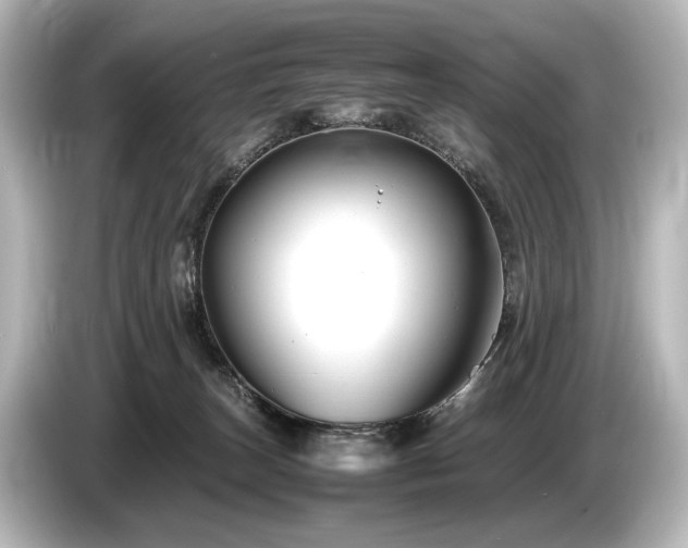 X0000085730179200703161013