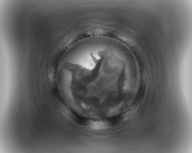 X0000085730181200703161013